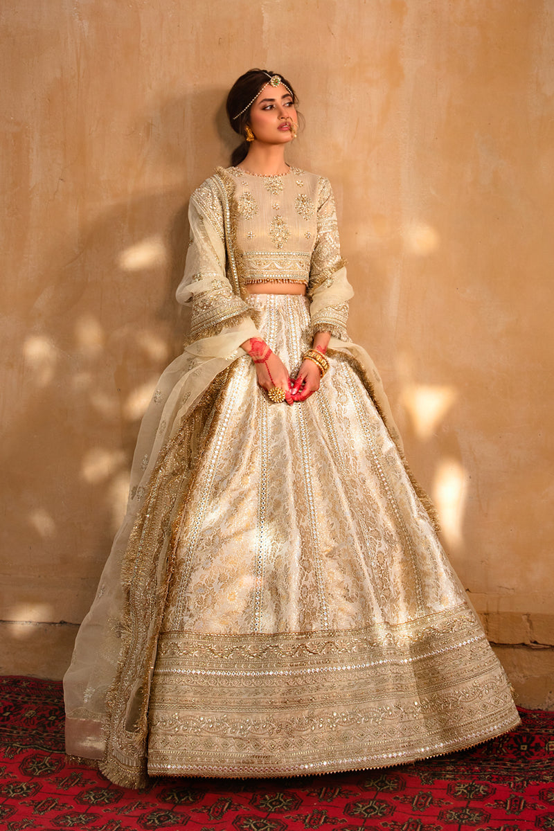 Formal Wedding Dress , Indian Woman Wedding Dress , Pakistani Woman wedding Dress