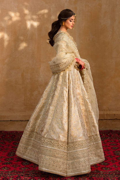 Formal Wedding Dress , Indian Woman Wedding Dress , Pakistani Woman wedding Dress