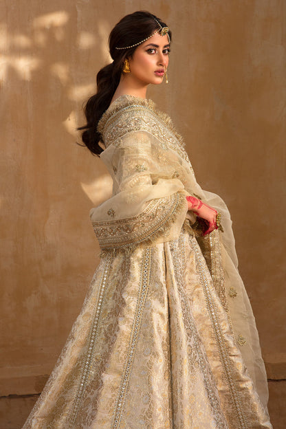 Formal Wedding Dress , Indian Woman Wedding Dress , Pakistani Woman wedding Dress