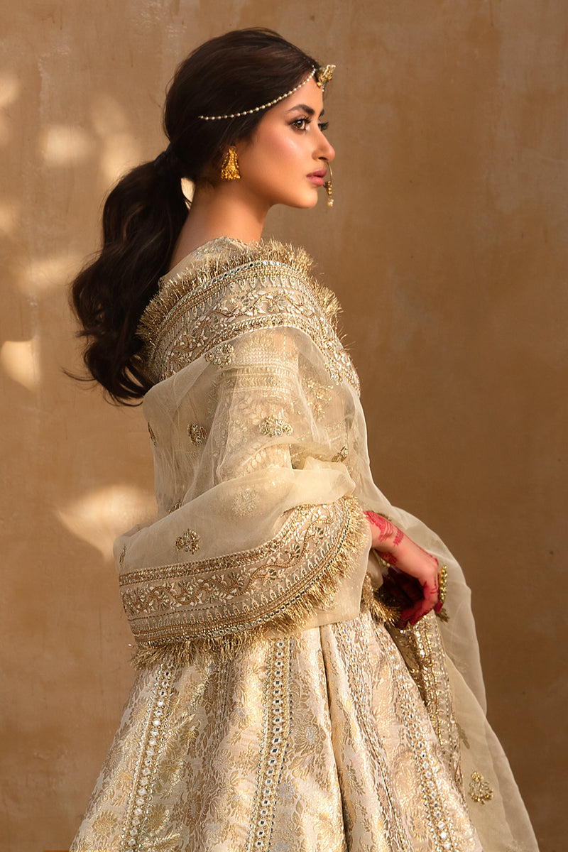 Formal Wedding Dress , Indian Woman Wedding Dress , Pakistani Woman wedding Dress