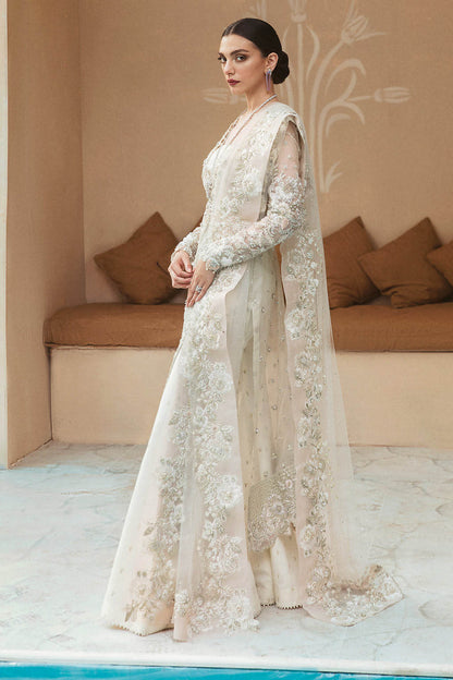 Woman Wedding Reception Dress , Woman Wedding Dress , Woman Wedding Indian Dress , Pakistani Woman Wedding Dress