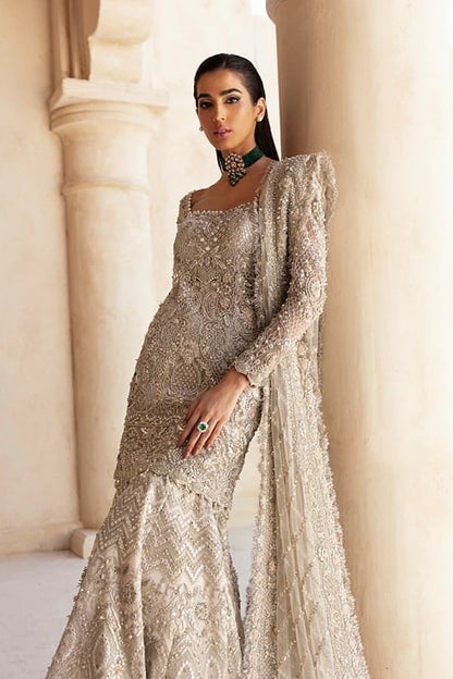 Woman Wedding Reception Dress , Woman Wedding Dress , Woman Wedding Walima Dress