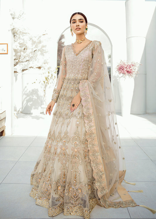 Woman Wedding Dress , Pakistani Woman Wedding maxi Dress , Pakistani Indian Wedding Lehnga Choli