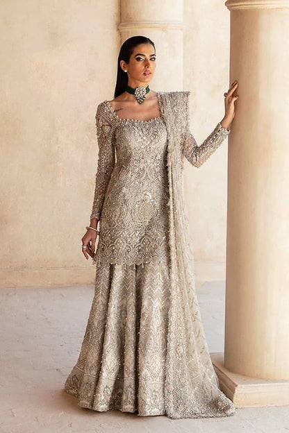 Woman Wedding Reception Dress , Woman Wedding Dress , Woman Wedding Walima Dress