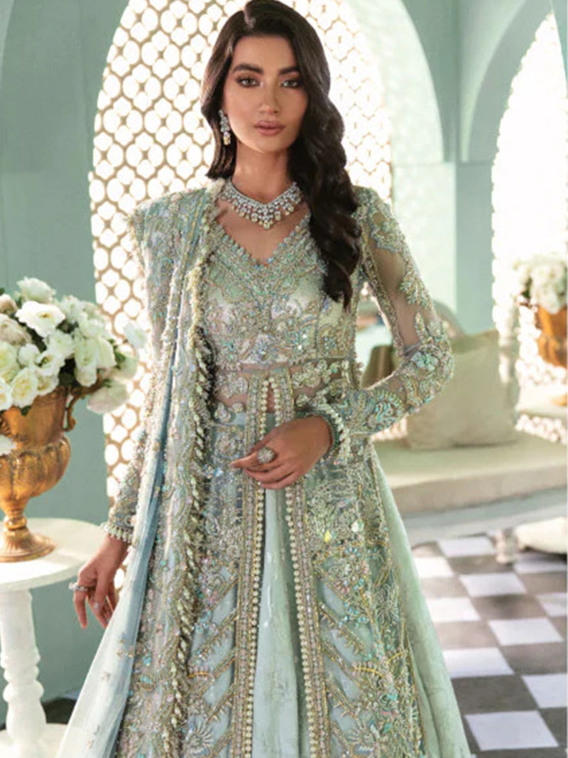 Pakistani Woman Wedding Dress , Indian Woman Wedding Dress , Woman Wedding Reception Dress , Woman Shandi Dress