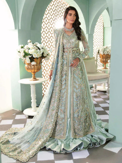 Pakistani Woman Wedding Dress , Indian Woman Wedding Dress , Woman Wedding Reception Dress , Woman Shandi Dress