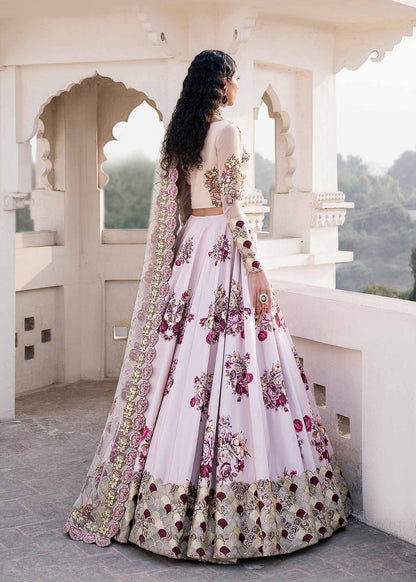 Woman Bridal Embroidered  Lehenga