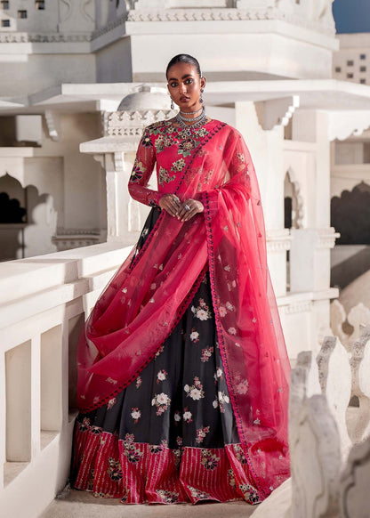 Indian Pakistani Bridal Lehenga Choli