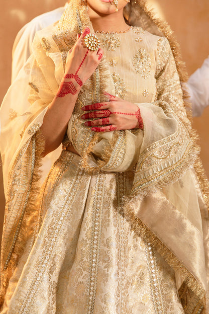 Formal Wedding Dress , Indian Woman Wedding Dress , Pakistani Woman wedding Dress