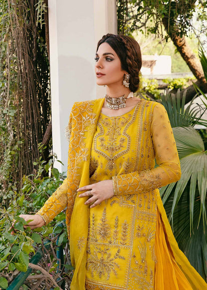 Explore a world of timeless fashion with the Royal Club Clothing collection! From exquisitely crafted bridal wear to chic everyday essentials, our designs combine tradition with contemporary flair.

#NewArrival ❤️‍🔥❤️‍🔥❤️‍🔥

Presenting this mesmerising