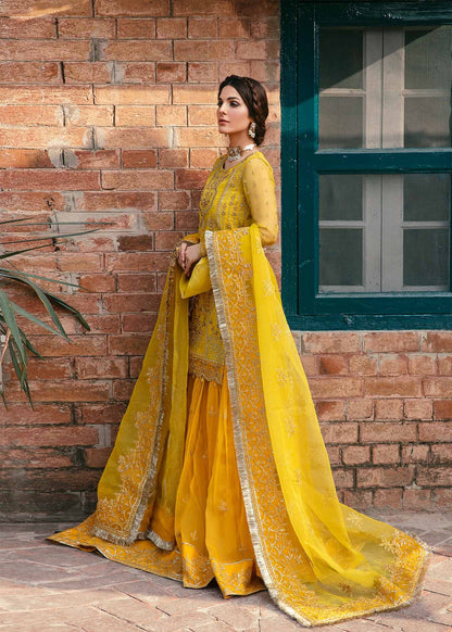 Explore a world of timeless fashion with the Royal Club Clothing collection! From exquisitely crafted bridal wear to chic everyday essentials, our designs combine tradition with contemporary flair.

#NewArrival ❤️‍🔥❤️‍🔥❤️‍🔥

Presenting this mesmerising